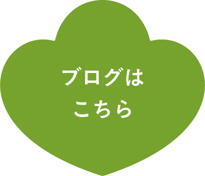 ブログはこちら