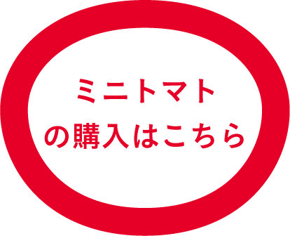 ミニトマトの購入はこちら